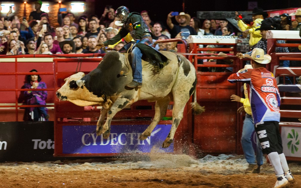 Touro salta na arena tentando derrubar competidor no Rodeio Interestadual de Barretos 2019 â€” Foto: Ã‰rico Andrade / G1