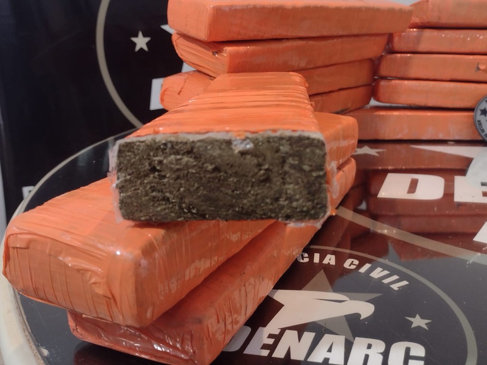 Drogas foram apreendidas durante a operação — Foto: Polícia Civil/PR