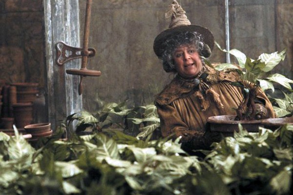 Miriam Margolyes como Professora Sprout nos filmes da saga Harry Potter (Foto: Divulgação)
