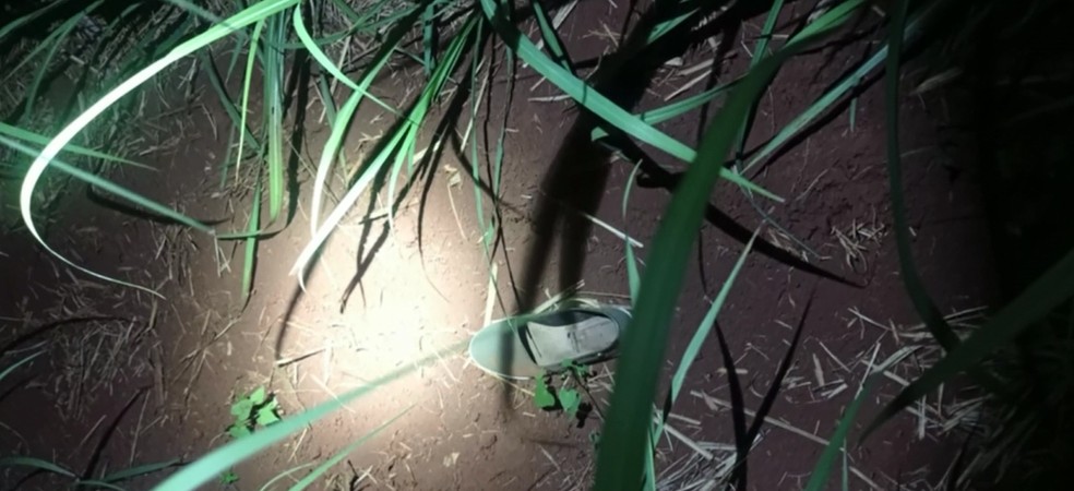 Vítima foi encontrada morta em matagal, em Bandeirantes — Foto: Polícia Civil/Divulgação