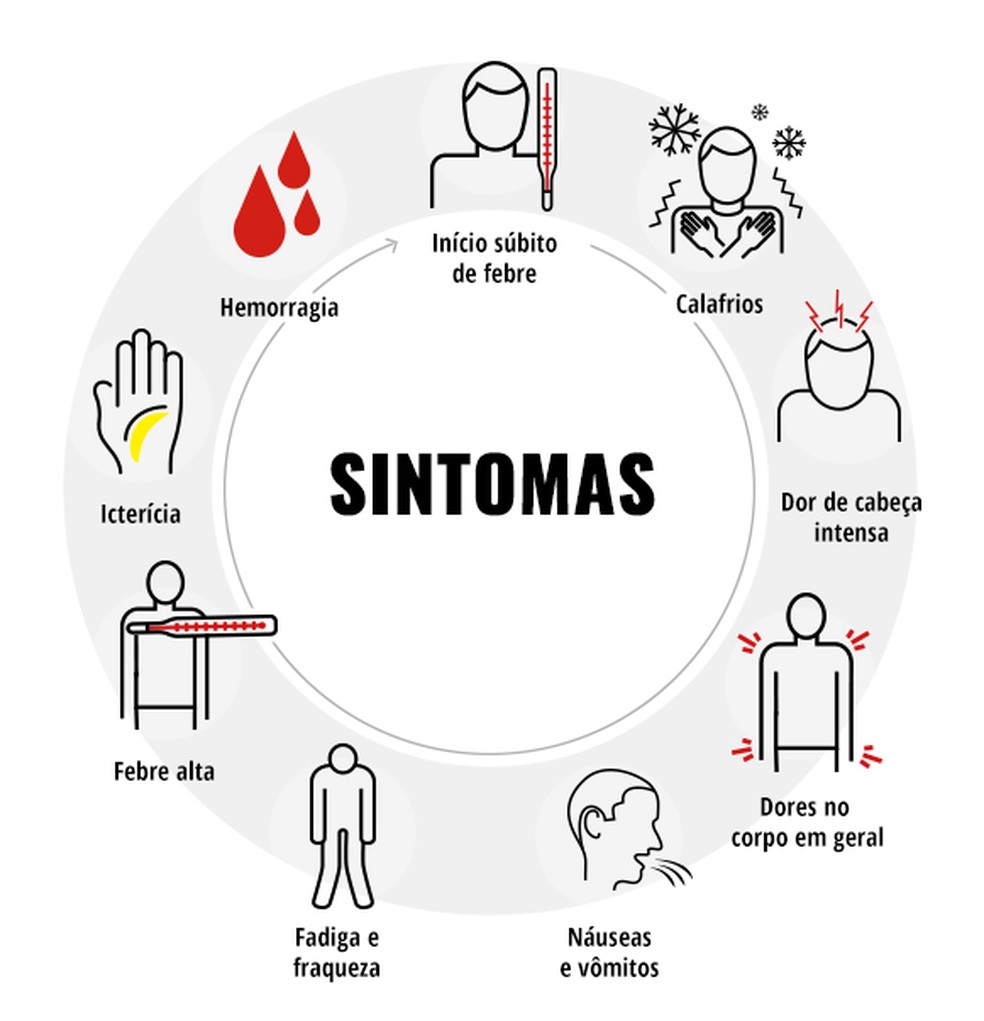 Sintomas da febre amarela — Foto: Divulgação/Ministério da Saúde