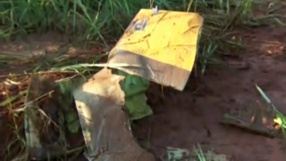 Asa de aviÃ£o que caiu em canavial quebrou ao meio â€” Foto: ReproduÃ§Ã£o/TV TEM