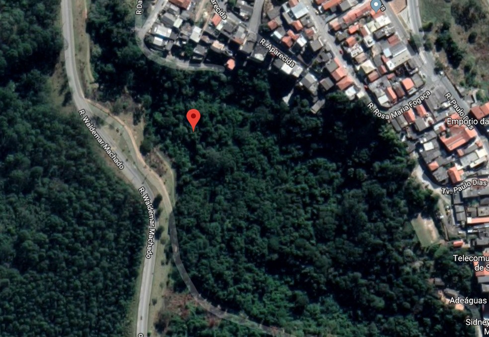 Corpo de Aline Silva Dantas foi encontrado em uma área de mata em Alumínio (SP) — Foto: Reprodução/Google Maps