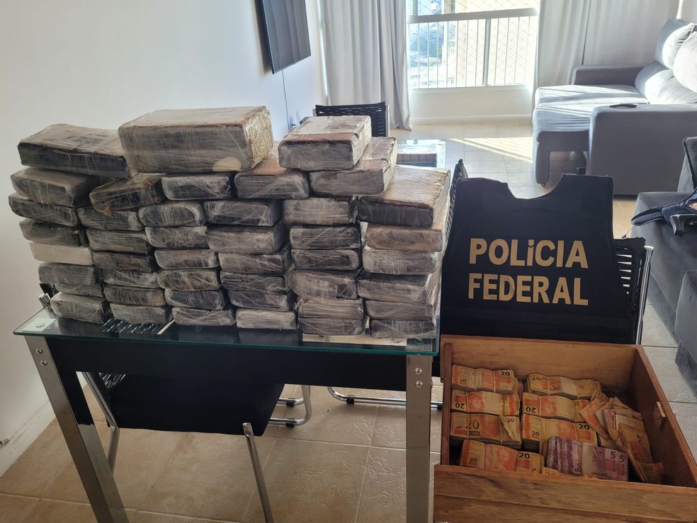 Mandados de prisão e busca são cumpridos em operação contra tráfico internacional de drogas, no Porto de Salvador — Foto: Divulgação/Polícia Federal