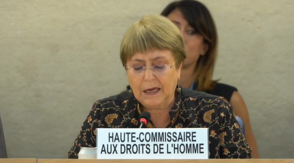 Chefe de Direitos Humanos da ONU se diz alarmada com amea&ccedil;as a ambientalistas e ind&iacute;genas no Brasil