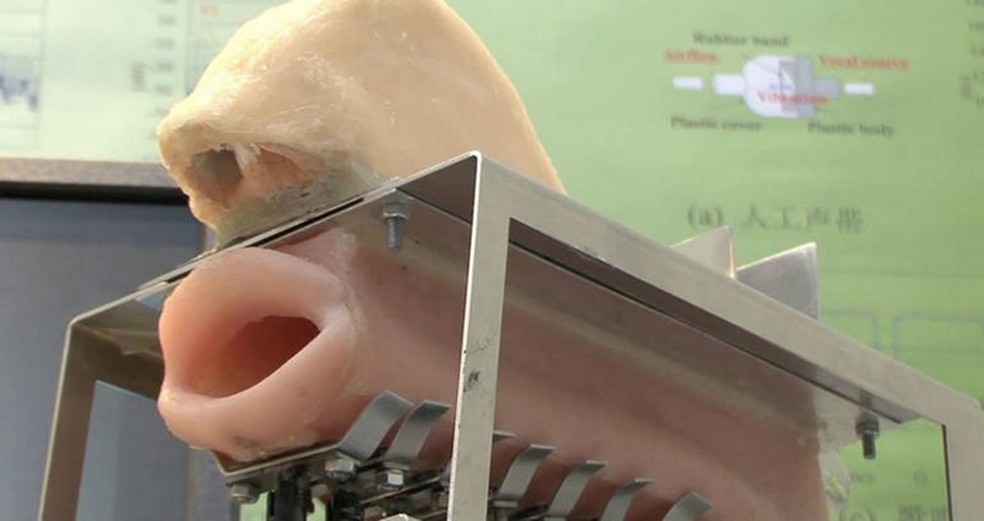 Robotic Mouth, robô que reúne boca e nariz assustadores para simular voz humana — Foto: Reprodução/Universidade de Kagawa