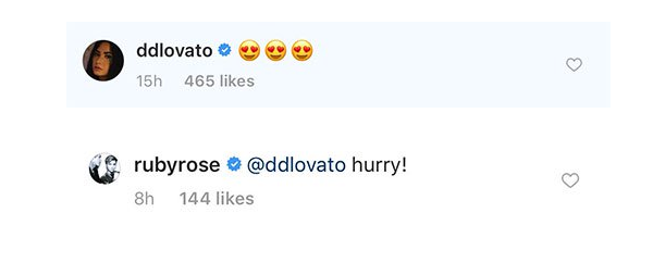 Um dos flertes misteriosos entre Demi Lovato e Ruby Rose nas redes sociais (Foto: Twitter)