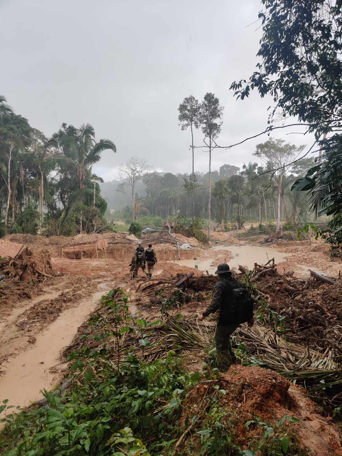 Cacique e servidor da Funai são presos pela PF suspeitos de envolvimento em garimpo ilegal em terra indígena em MT