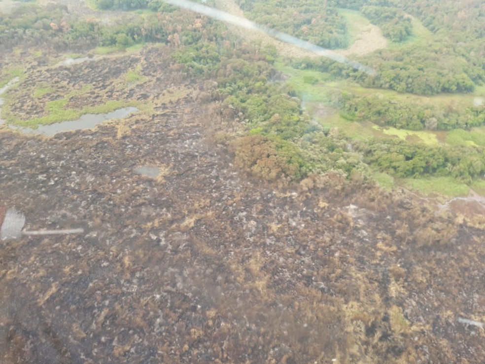 Incêndio atinge Parque Estadual do Aguapeí — Foto: Defesa Civil