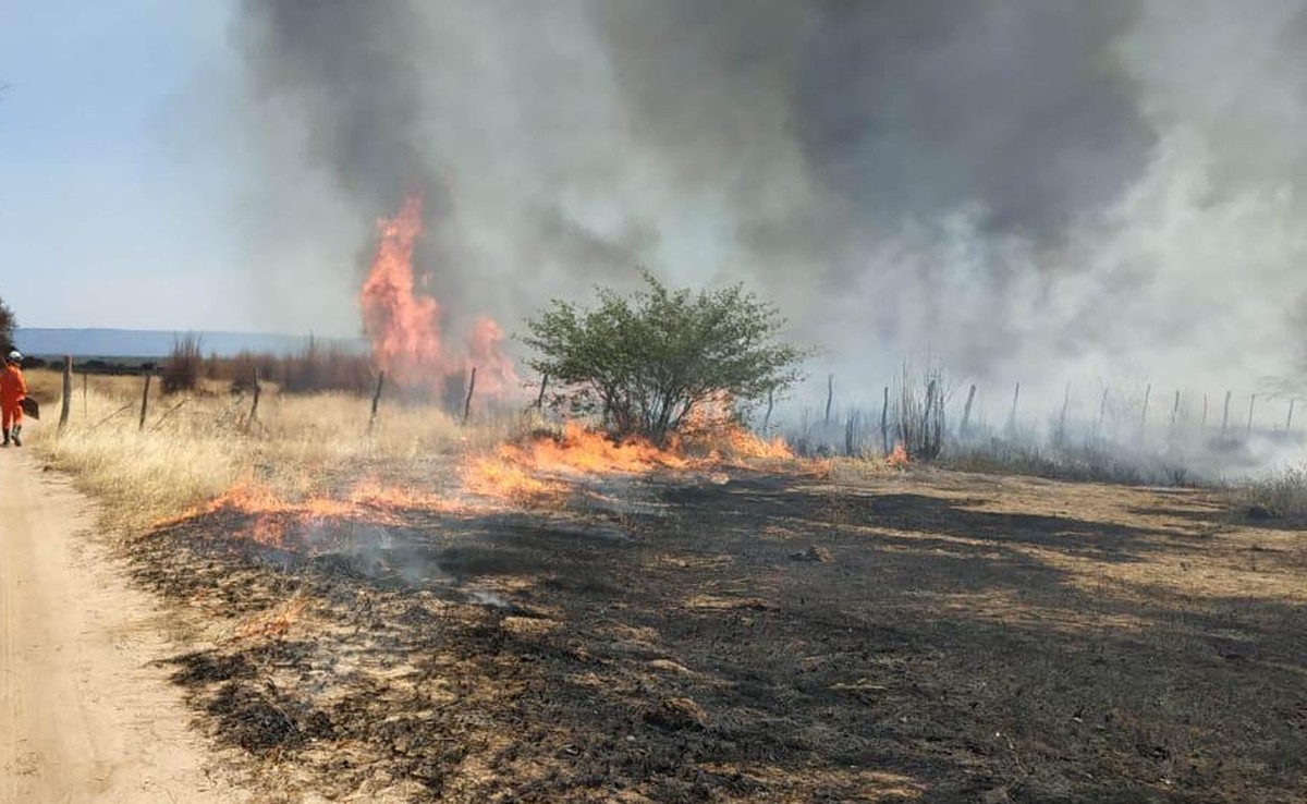 Incêndio atinge área de vegetação em Ibotirama, oeste da Bahia - Vimarsana News