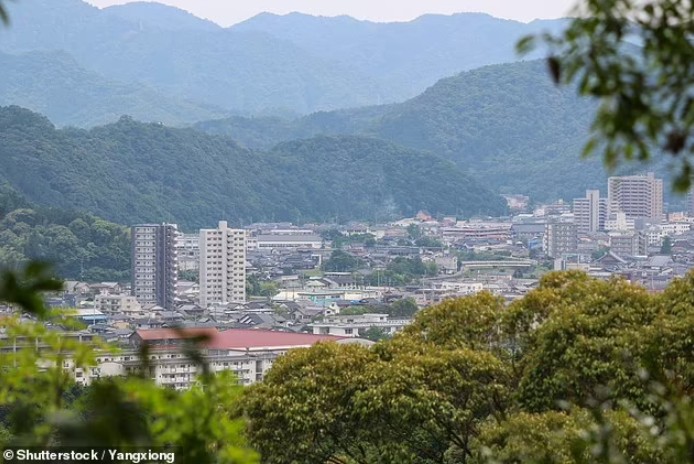 Ataques de macacos na cidade de Yamaguchi, no Japão, já deixaram mais de 42 feridos (Foto: Reprodução/DailyMail)