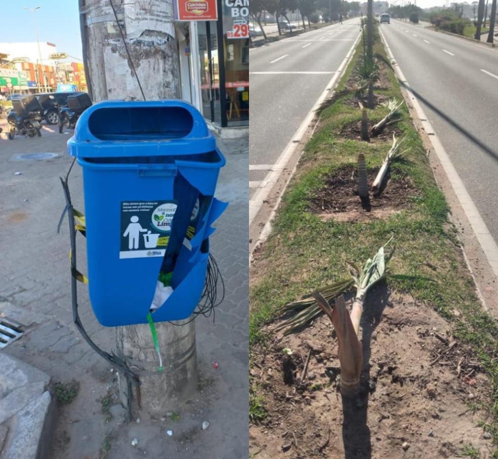Lixeiras e palmeiras da cidade foram alvo dos vandalos  — Foto: Prefeitura de Rio das Ostras/Divulgação