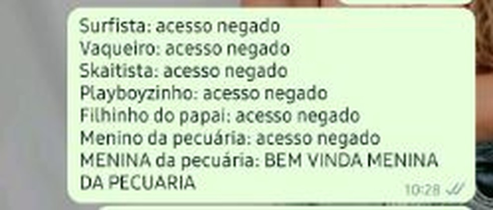 Brincadeira foi feita em alusão à música 'Os Menino da Pecuária' — Foto: Évelin Henz/ Arquivo pessoal