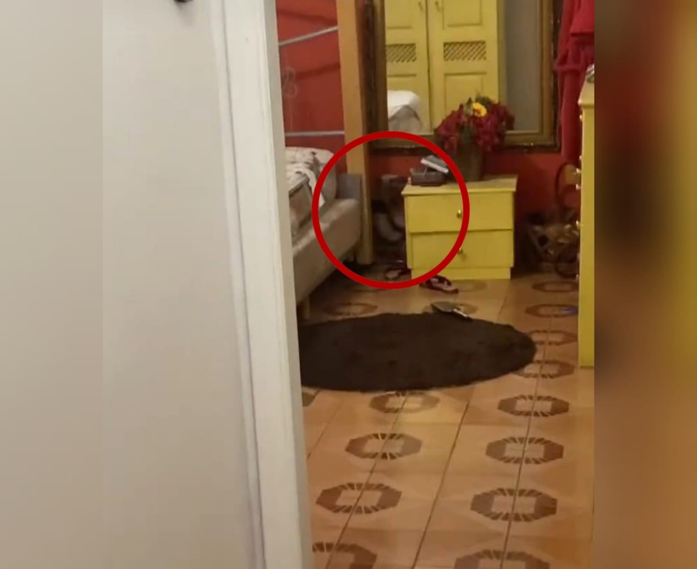 encontre o ladrao na foto resposta