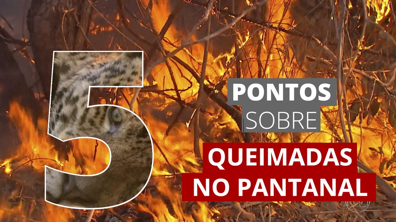 5 pontos sobre as queimadas no Pantanal