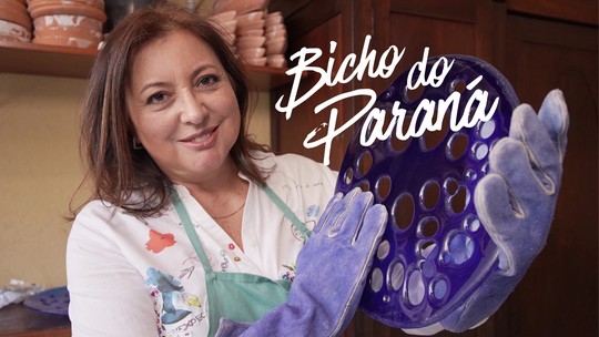 Désirée Sessegolo é Bicho do Paraná: conheça a história da artista paranaense