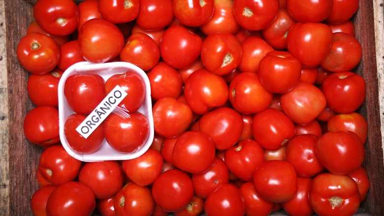 organico-tomate-alimentos (Foto: Globo Rural)