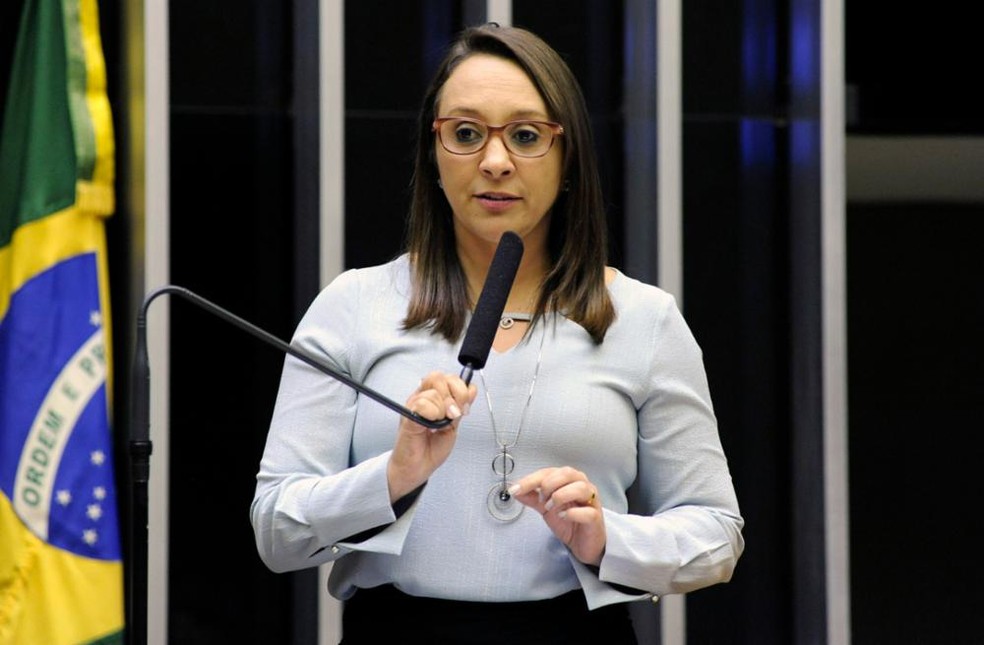 Deputada Renata Abreu, autora da proposta vetada pelo presidente Jair Bolsonaro — Foto: Luis Macedo/Câmara dos Deputados