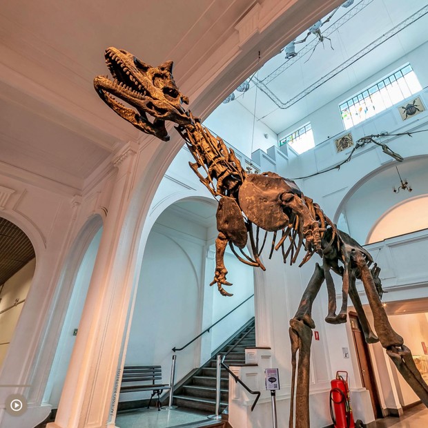 Novo tour virtual 360 em Museu de Zoologia da USP inclui dinossauro gigante (Foto: Reprodução)