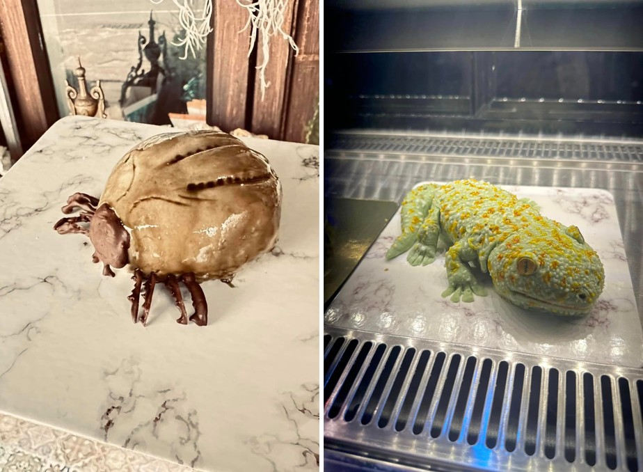 Confeiteiro cria bolos em formato de animais 'peculiares'