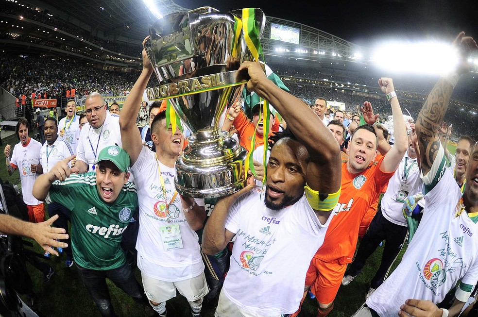 Palmeiras conquistou a Copa do Brasil em 2015 (Foto: Marcos Ribolli)