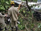 Avião que caiu e matou 3 em Goiás estava apto para voo, diz Anac
