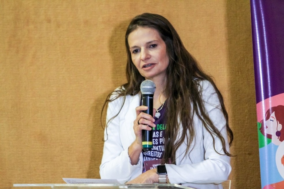 Rosana Leite, do Núcleo de Defesa da Mulher, defende um centro de referência para as mulheres — Foto: Defensoria Pública de MT/ Assessoria