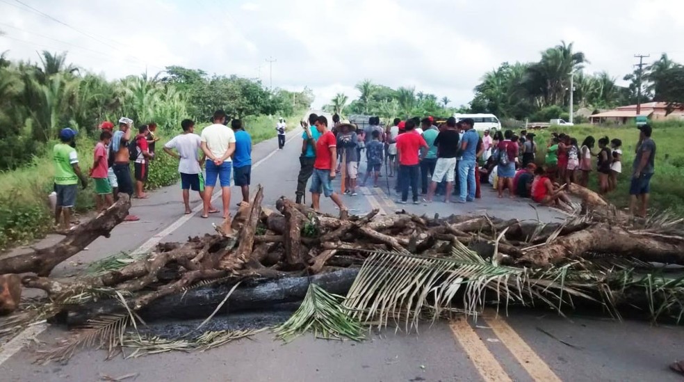 Os indígenas barraram a rodovia federal com galhos de árvores em manifestação.  — Foto: Erivaldo Santos/ TV Mirante 