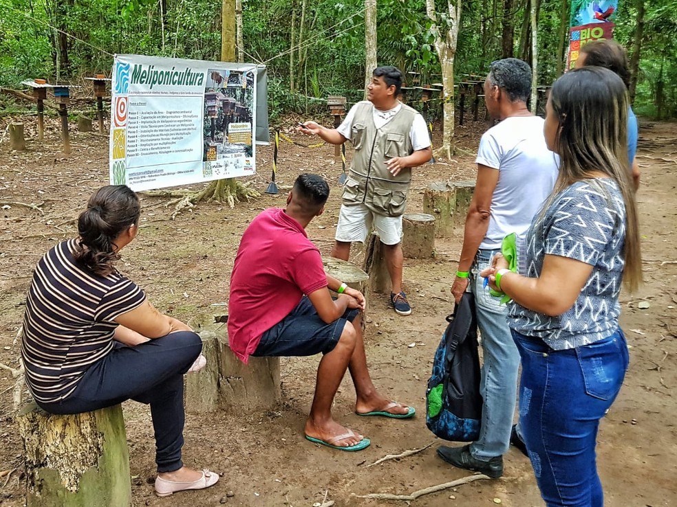 Visitantes conhecem melhor sobre produção de mel de abelhas 'sem ferrão' — Foto: Jorge Júnior/Rede Amazônica