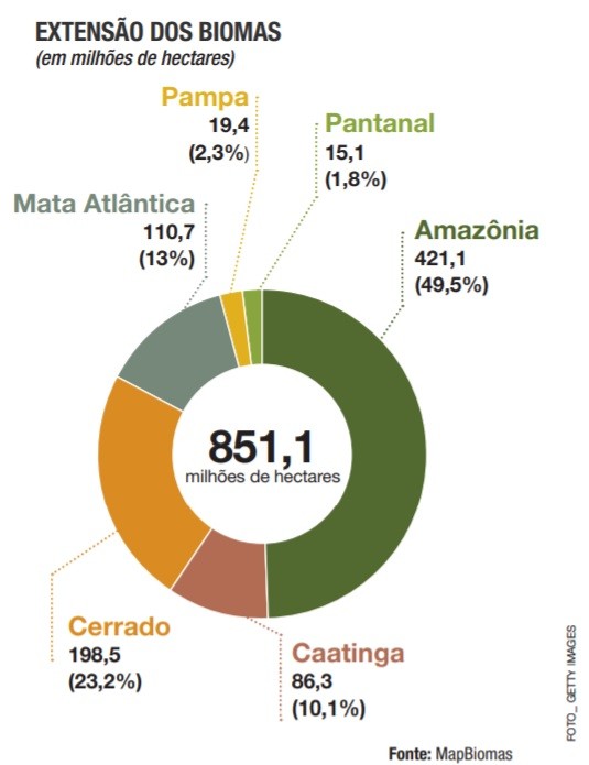 Amazônia Perdeu 44 Milhões De Hectares De área Nativa Nos últimos 34 Anos Revista Globo Rural 0927