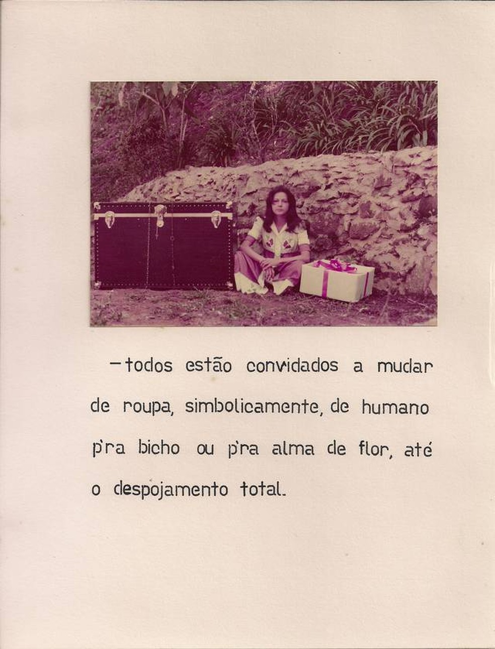 Imagem da obra 'Pele de bicho, alma de flor', de Yolanda Freire, que fez parte da exposição 'Mulheres radicais' na Pinacoteca de SP — Foto: Divulgação