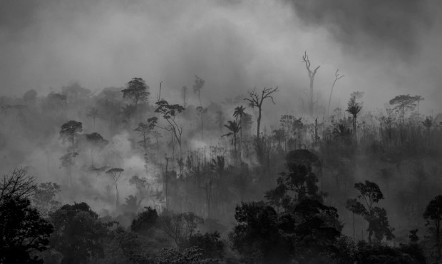 desmatamento e queimadas na Amazonia