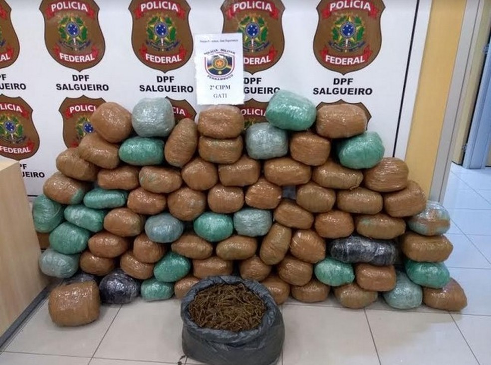 Apreensão de quase 80kg de maconha em Cabrobó (Foto: Divulgação/ 2º CIPM)