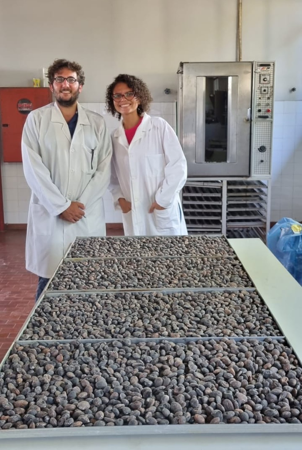 Pesquisadores tentam desenvolver técnica de extração do tegumento do cupuaçu  — Foto: Arquivo pessoal