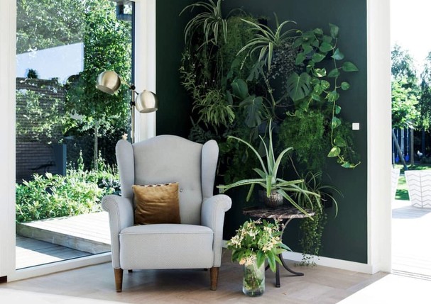 Plantas para o décor de interiores (Foto: @plantsdecor/Reprodução)