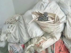Suspeita foi encaminhada até a delegacia da cidade junto com o material apreendido (Foto: Divulgação / Polícia Militar) Suspeita foi encaminhada até a delegacia da cidade junto com o material apreendido (Foto: Divulgação / Polícia Militar)