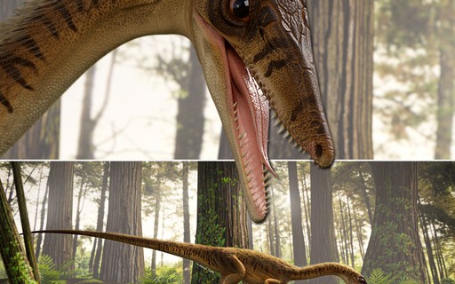 Bracinhos do Tiranossauro rex eram utilizados para cortar suas presas -  Revista Galileu