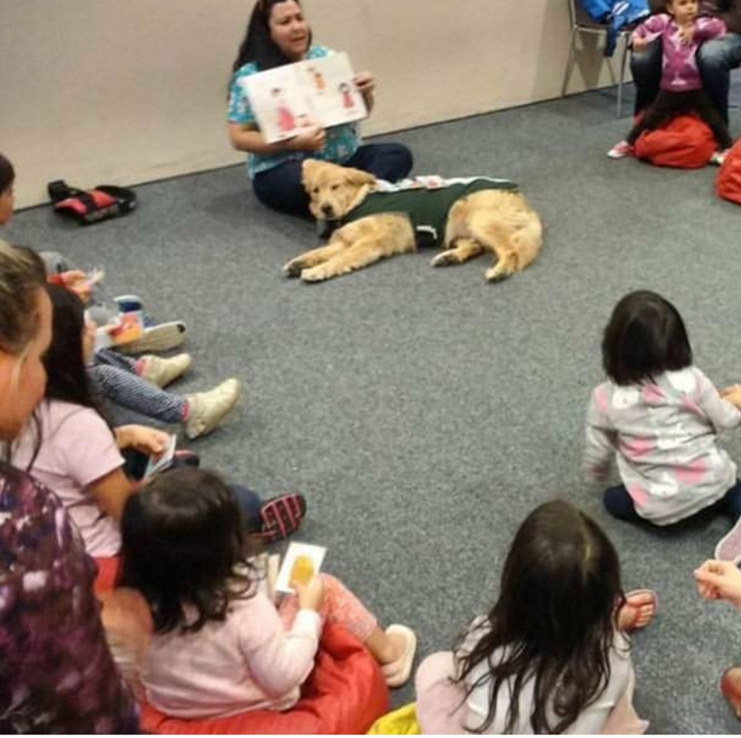 Um aluno inseguro pode se beneficiar da presença do animal nos exercícios de leitura em sala (Foto: Arquivo Pessoal/ Andrea Petenucci)