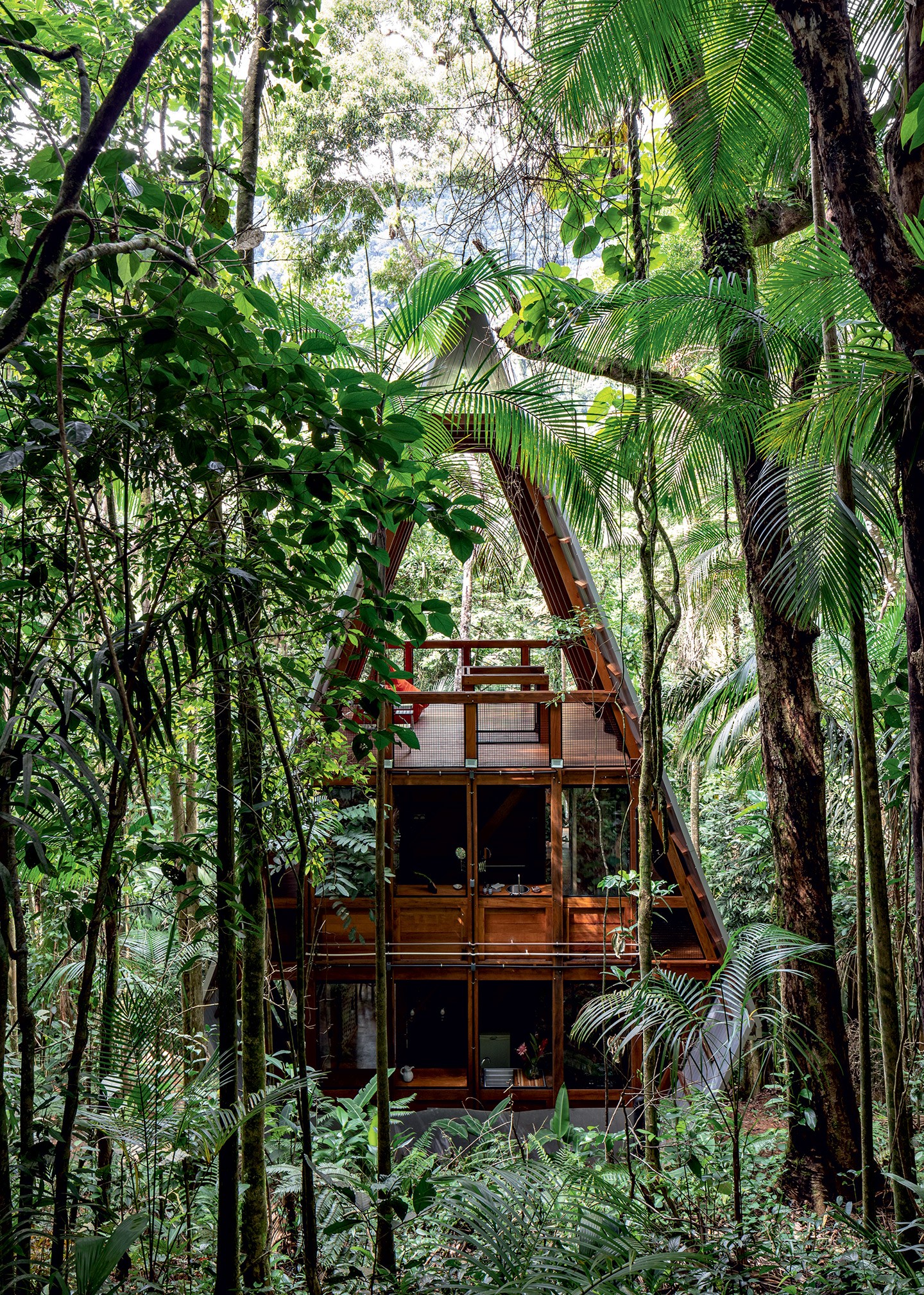 Casa imersa na floresta de Paraty aposta na biomimética e transforma a natureza em seu entorno (Foto: Fran Parente)