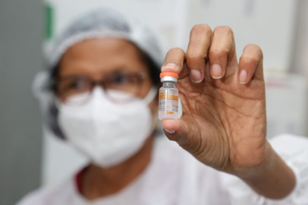 Vacinas contra Covid chegam ao Piauí — Foto: Regis Falcão/CCom