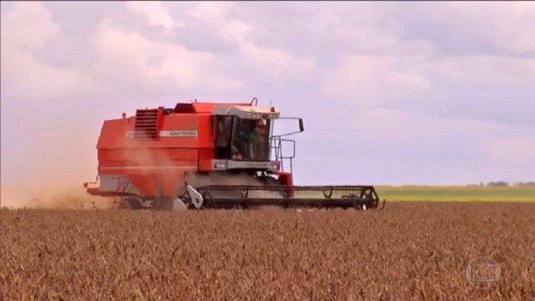 economia-agropecuaria-video-globo (Foto: Reprodução/TV Globo)