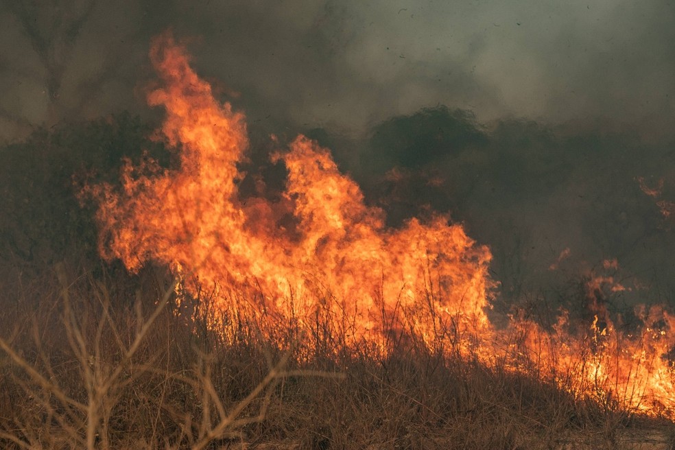 Fogo subterrneo dificulta no combate ao incndio  Foto: Bruno Sampaio Figueiredo