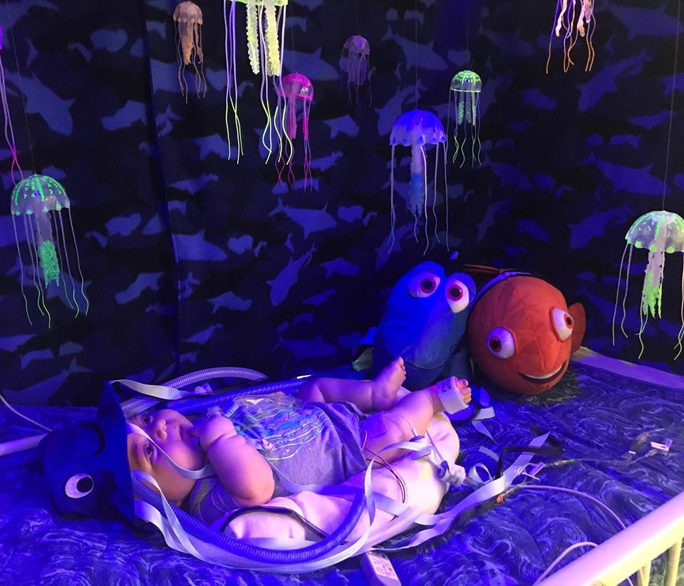 Bebê fantasiado de água-viva e decoração inspirada em Nemo (Foto: Reprodução Facebook)