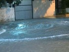 Após adutora se romper, 13 bairros de SP devem ficar sem água até quinta