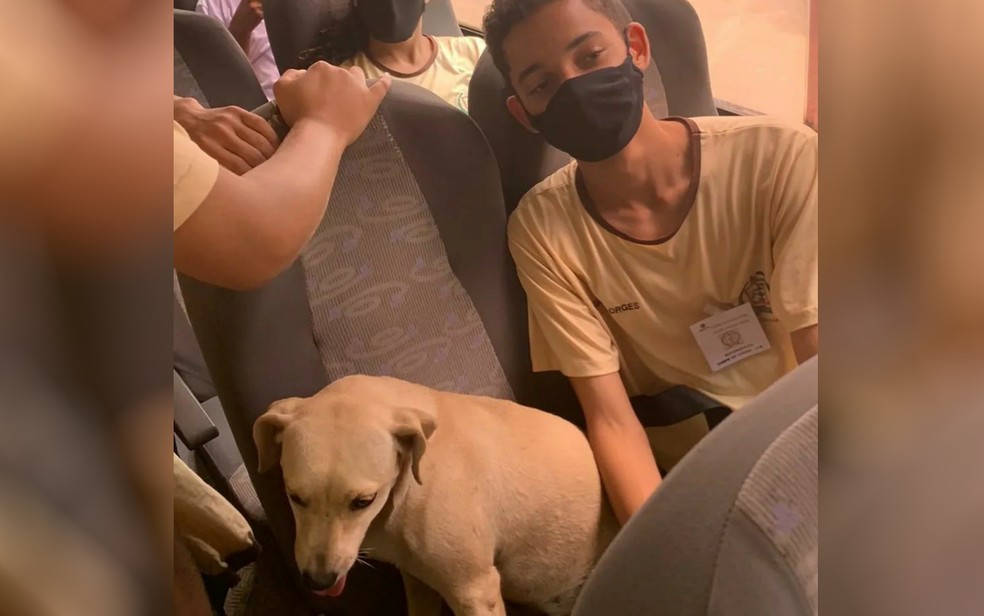 Dandara sentada em banco de ônibus com alunos de Itapaci, em Goiás — Foto: Reprodução/Arlete Oliveira