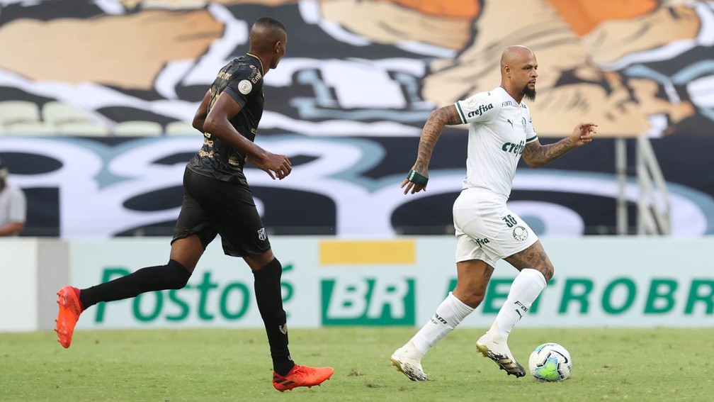 Felipe Melo volta a atuar pelo Palmeiras, mas Abel ainda não conta com volante 