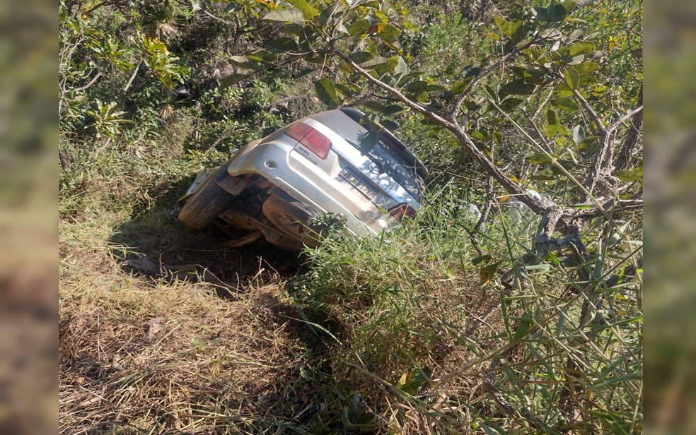 Caminhonete foi parar no meio de uma mata, em Luziânia — Foto: Divulgação/Corpo de Bombeiros 