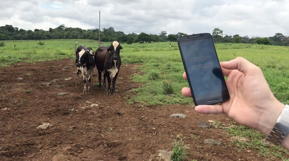 + Leite é lançado em Rondônia — Foto: Rafael Rocha/Reprodução