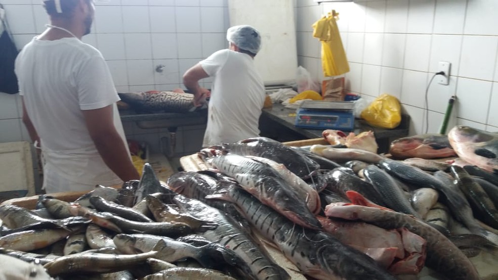 Pescado é uma das coisas mais procuradas durante a Semana Santa  — Foto: Mazinho Rogério/G1