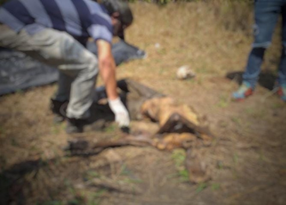 Ossada humana é encontrada em área rural de Porto Velho — Foto: Wanderson Caldeira / arquivo pessoal